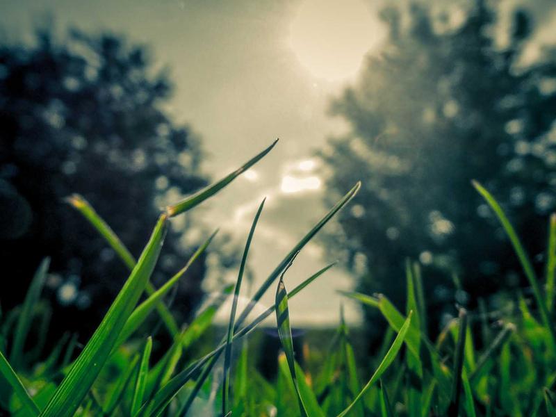 激活锁解除<br>iCloud锁关闭与查找关闭指南
